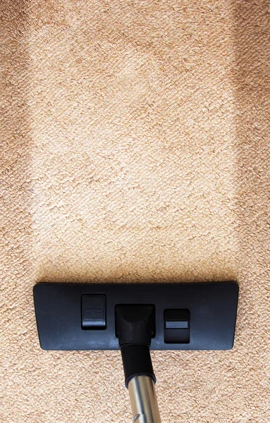 Go Carpet Care team at work