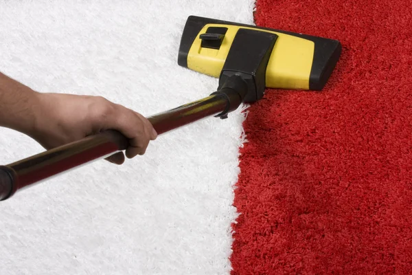 Carpet Cleaning